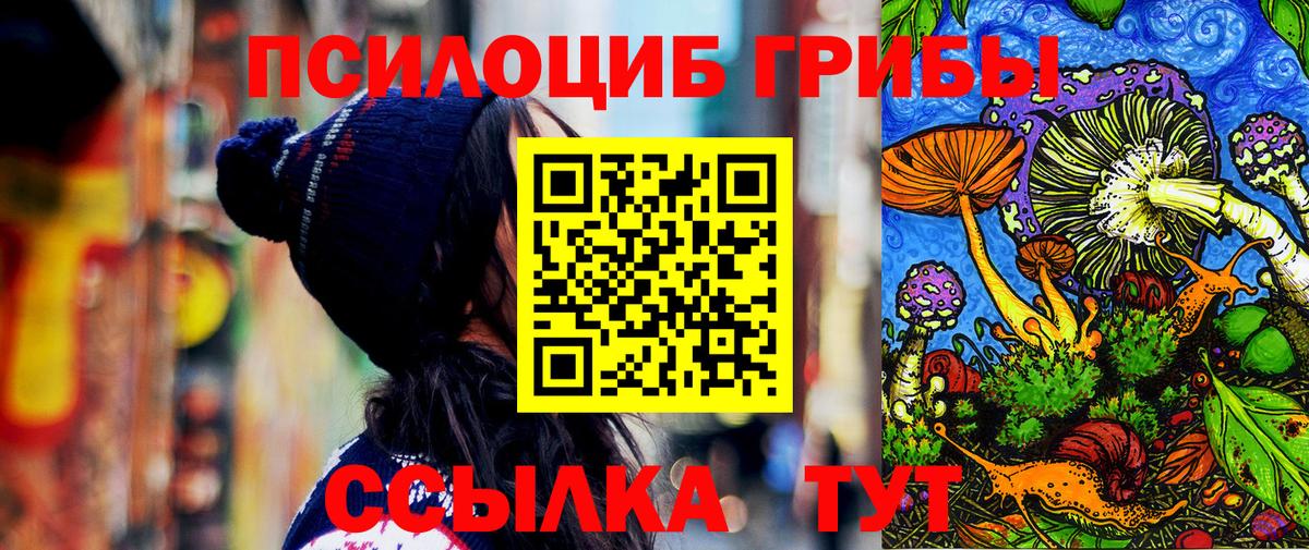 Галлюциногенные грибы Psilocybine cubensis  Вход с VPN  Саранск 