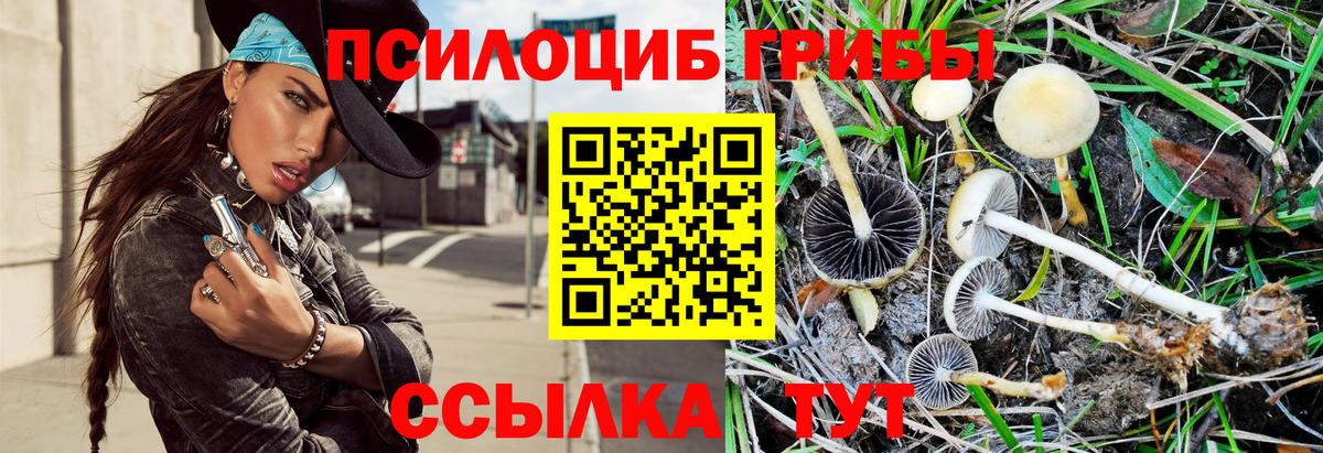 Псилоцибиновые грибы ЛСД Саранск